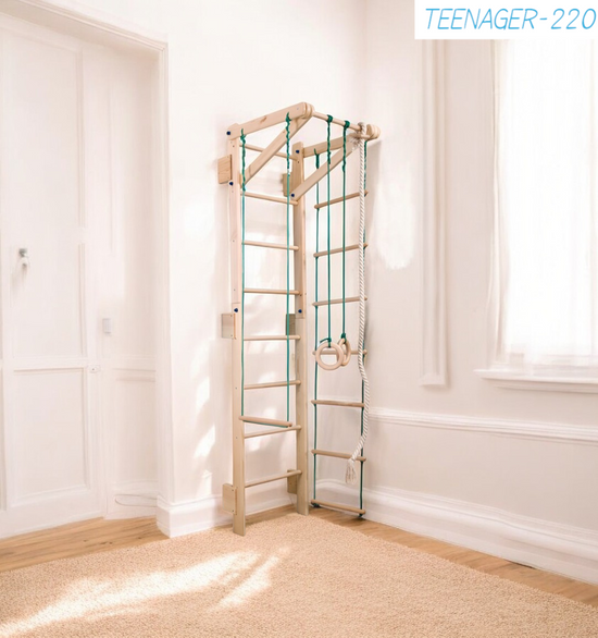 Swedish wall bars and sports complex "Teenager-220" wood